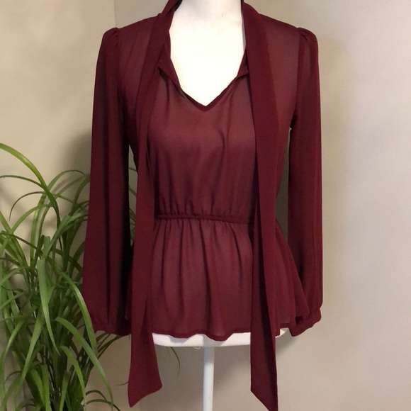 Sheer Burgundy Blouse - Picture 4 of 8